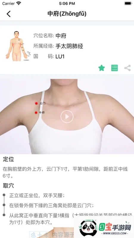 经络穴位图解v6.5.1 免费版截图1