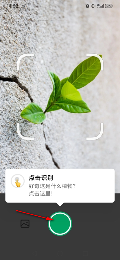 PictureThisʶֲ