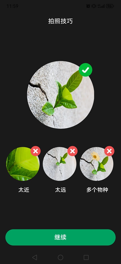PictureThisʶֲ