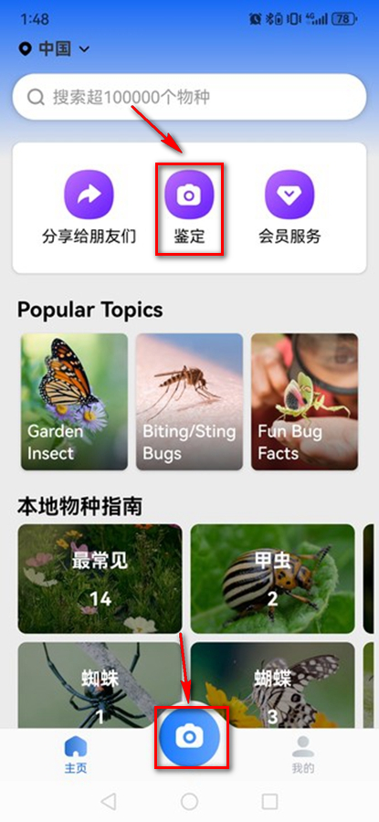Picture Insectƽ