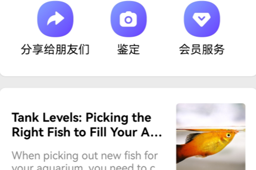 Picture Fish߼
