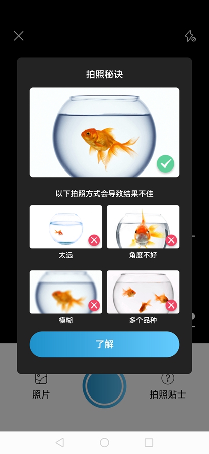 Picture Fish߼