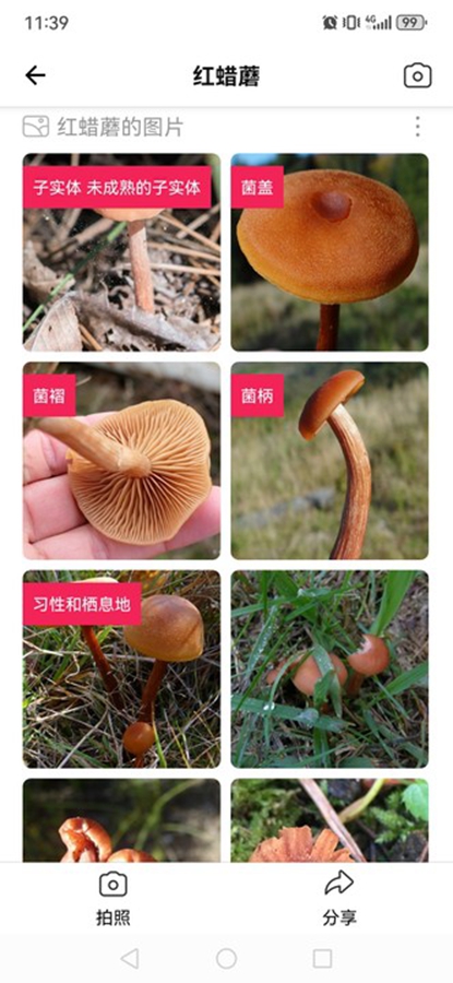 ʶĢapp(Picture Mushroom)ͼ7