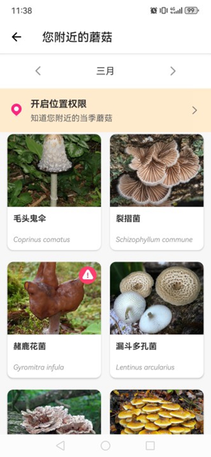 ʶĢapp(Picture Mushroom)ͼ5