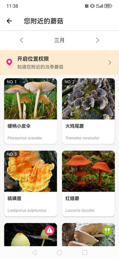 ʶĢapp(Picture Mushroom)ͼ4