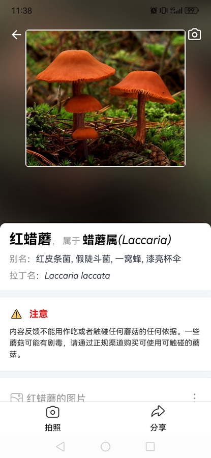 ʶĢapp(Picture Mushroom)ͼ6