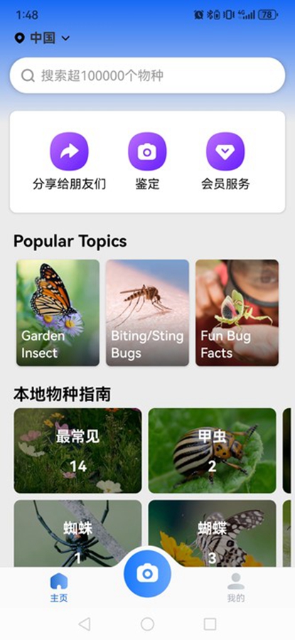 Picture Insectƽͼ0