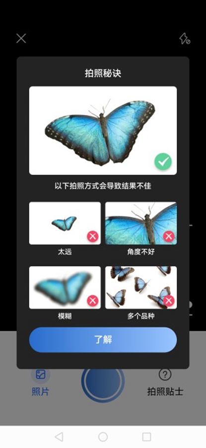 Picture Insectƽͼ1