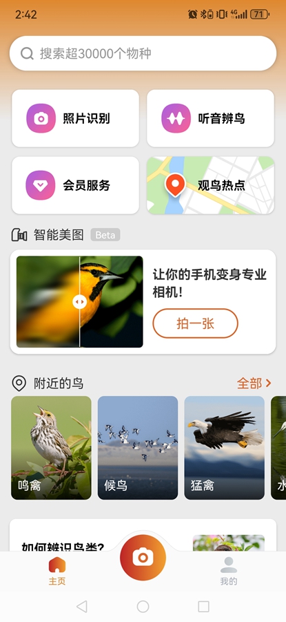 Picture Bird߼ͼ0