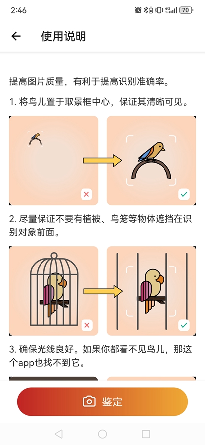 Picture Bird߼ͼ5