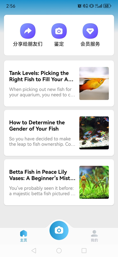 Picture Fish߼ͼ1