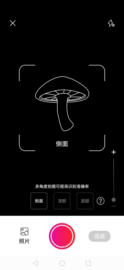 Picture Mushroomרҵƽͼ3