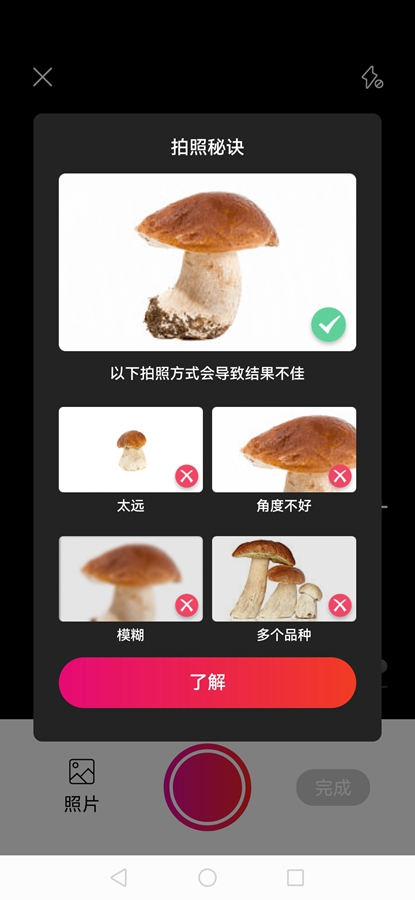 Picture Mushroomרҵƽͼ4