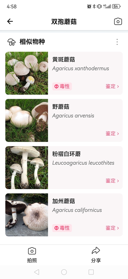 Picture Mushroomרҵƽͼ7