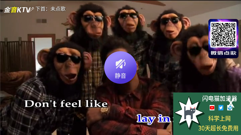 ktvֻѽͼ5