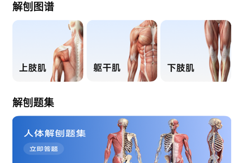 人体解剖图集免费版