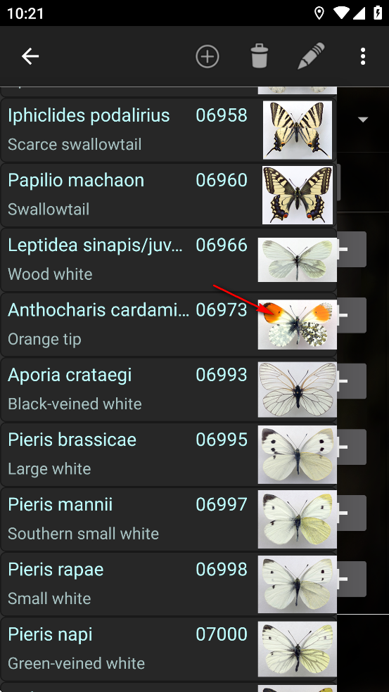 TourCount app