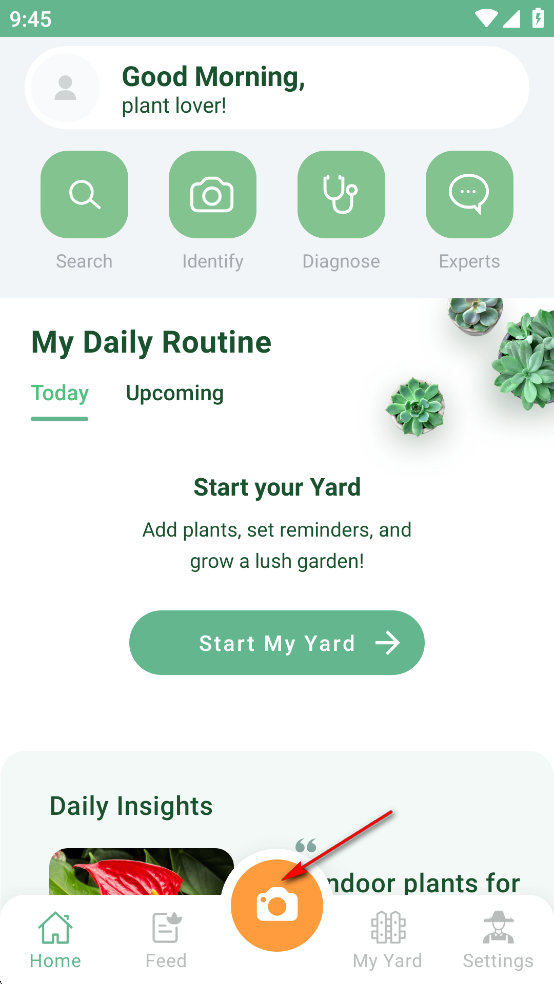 NatureID߼
