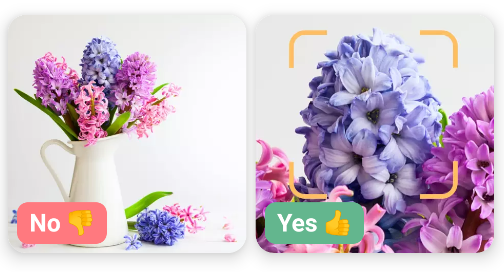 NatureID߼
