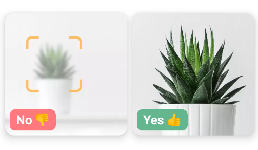 NatureID߼