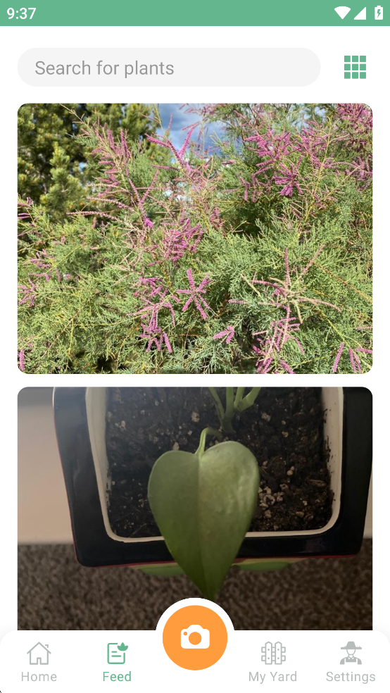 NatureID߼ͼ1