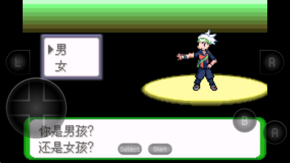 口袋妖怪空之花神补完汉化版截图3