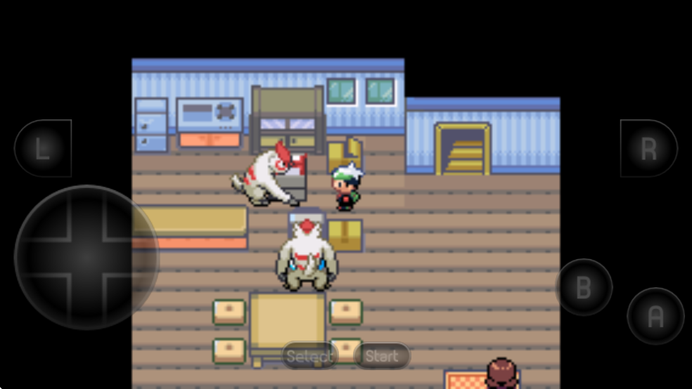 口袋妖怪空之花神补完汉化版截图9