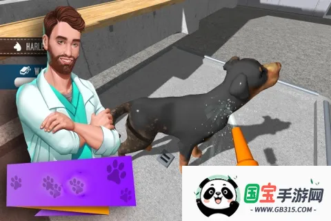 动物收容所模拟器2026最新版本v1.00 手机版截图2