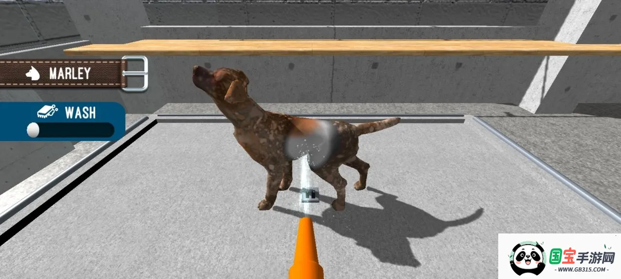 动物收容所模拟器2026最新版本v1.00 手机版截图3