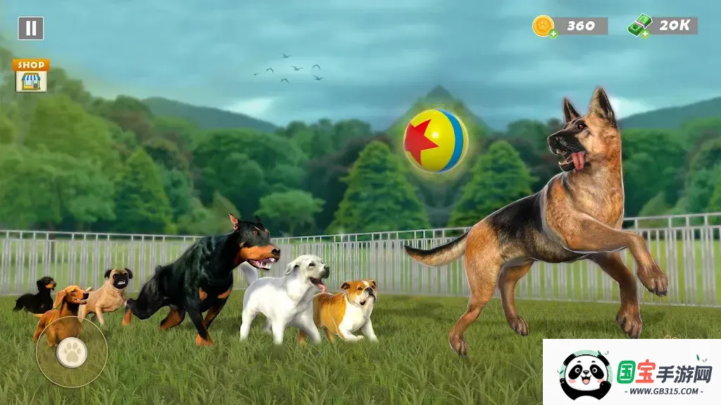 动物收容所模拟器2026最新版本v1.00 手机版截图4