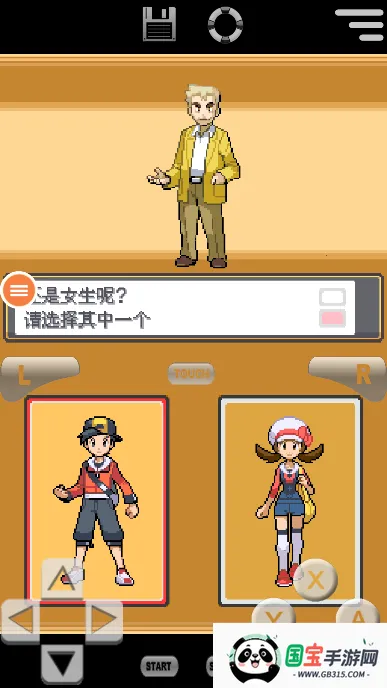 口袋妖怪心灵之金 口袋妖怪心灵之金