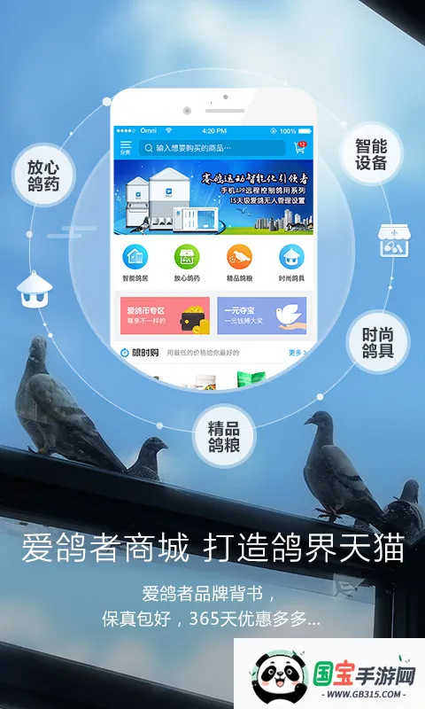 爱鸽者2026官方最新版本v3.0.0 手机版截图3