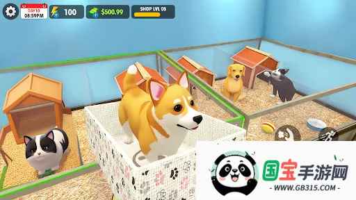 宠物店模拟器3D 宠物店模拟器3D