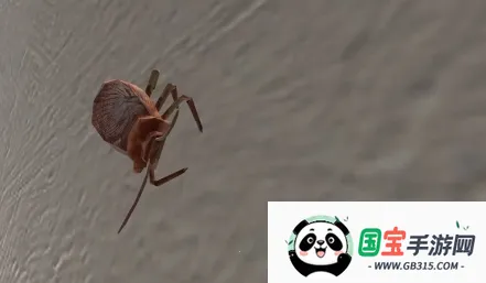 蟑螂模拟器 蟑螂模拟器