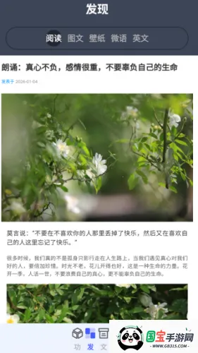 �ǻ����2026�ٷ�����