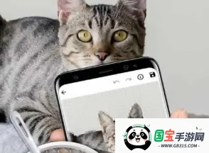 ����ʮ���������ֻ���