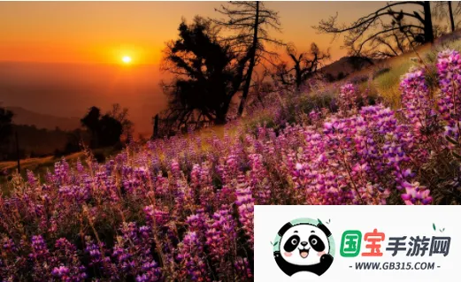 梦蝶相机2026官方最新版本 梦蝶相机2026官方最新版本