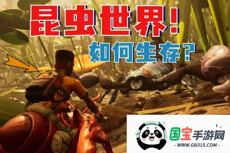 昆虫沙盒 昆虫沙盒