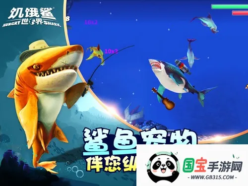 �����������ƽ��������ʯ�����������