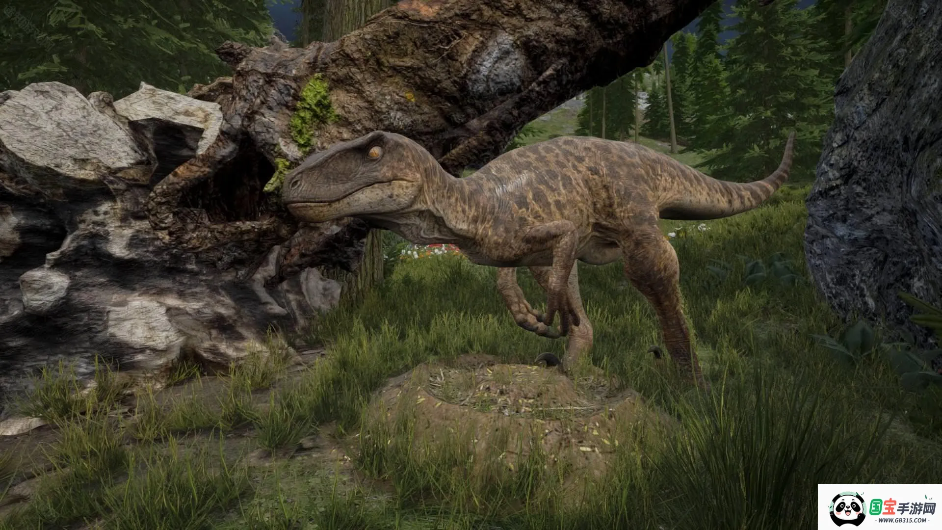 ���������ֻ�������