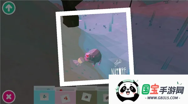 托卡大自然 托卡大自然