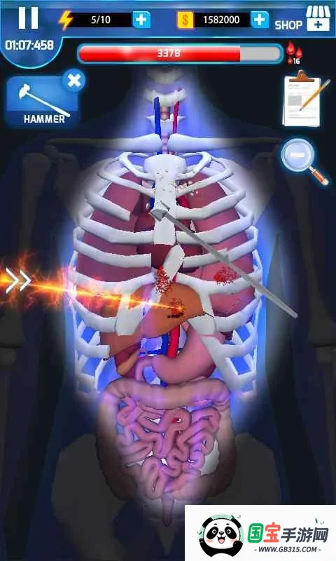 ������ʦ2026�ٷ����°汾