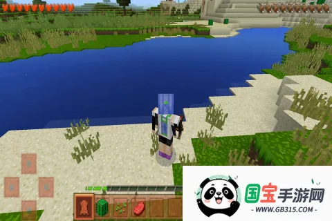 生存战争2.3插件版vAPI_Net_2_4 免费版截图1