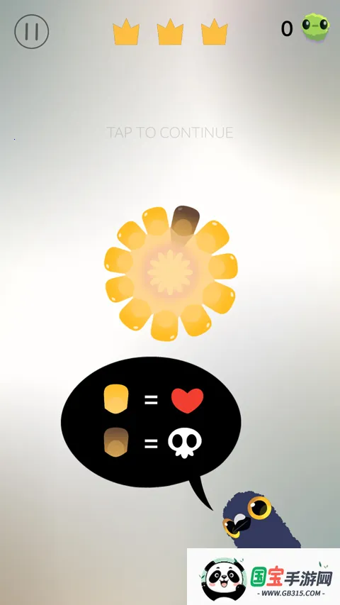 乱啄的鸽子 乱啄的鸽子