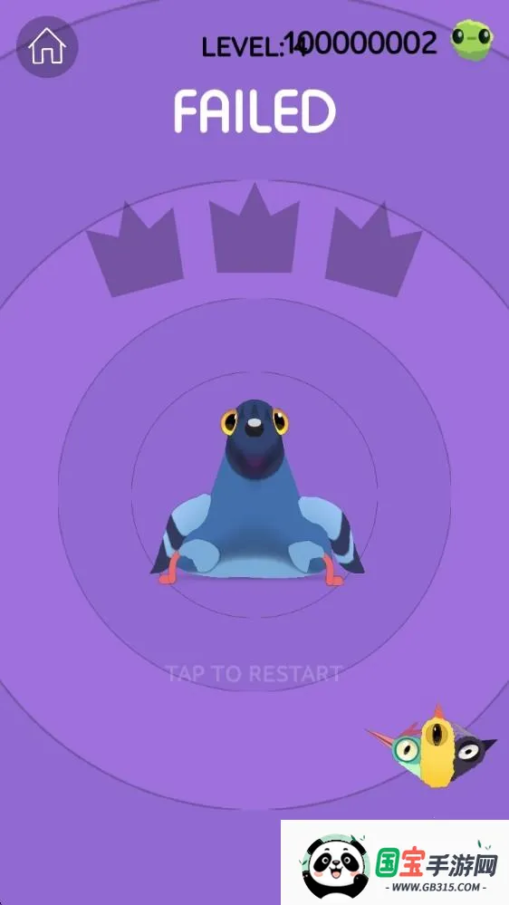 pigeon���ĸ���