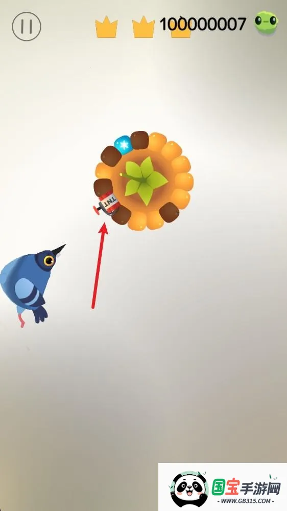 pigeon���ĸ���