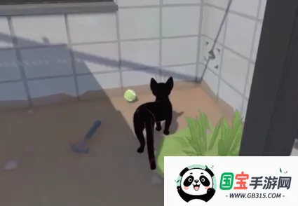 ֻ��ֻСè��