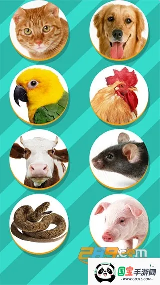 动物翻译器全部动物v6.2.369 手机版截图2