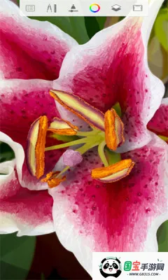 �滭����2026�ٷ����°汾