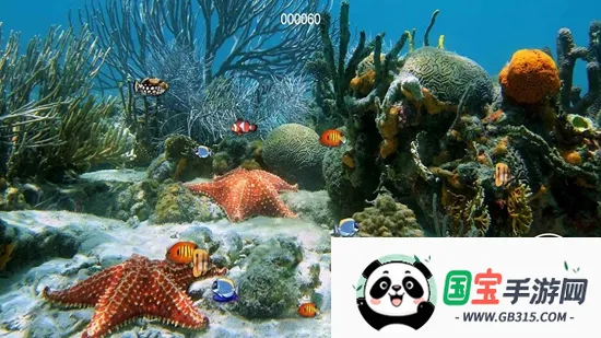 大鱼我不怕你 大鱼我不怕你